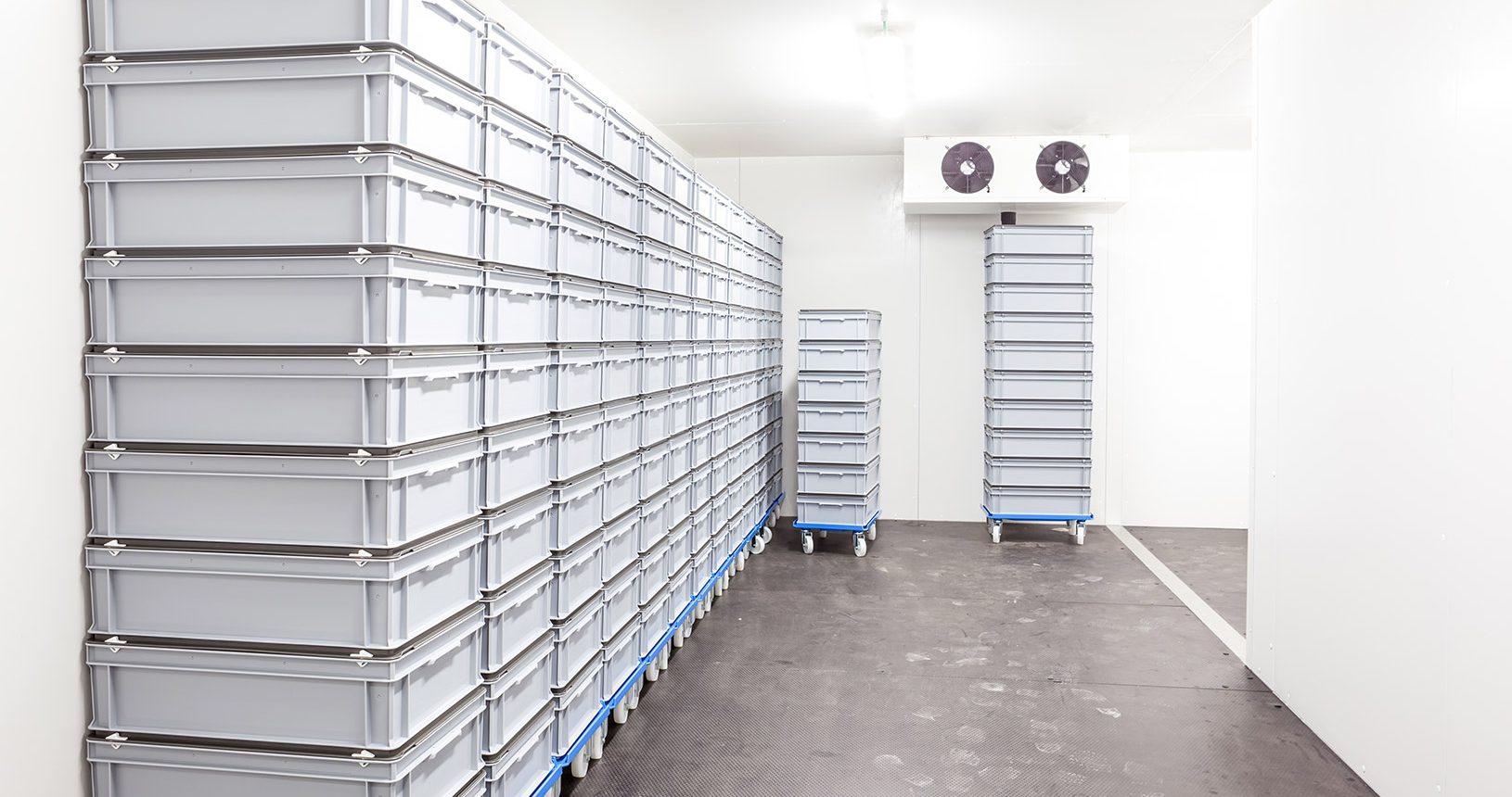 cold-storage-units-surrey